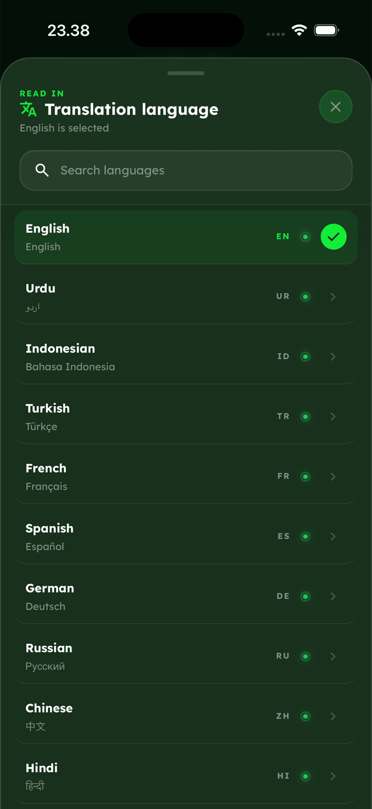 Hadithy translation and audio controls